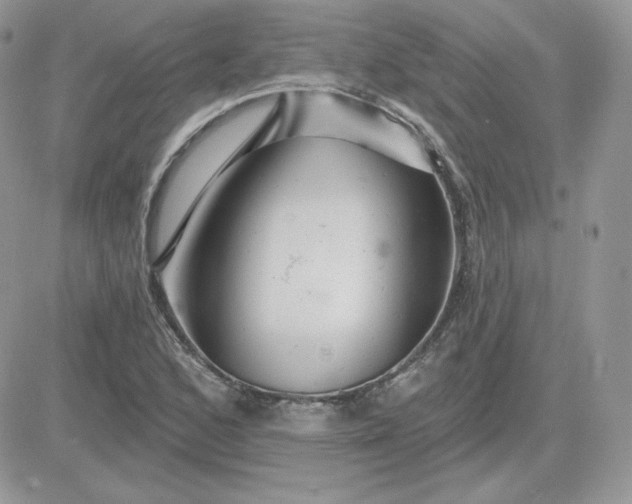 X0000081441168200701261840