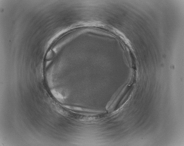 X0000081441174200701261840