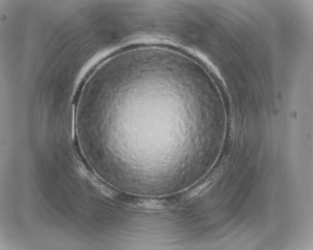 X0000081441175200701261840