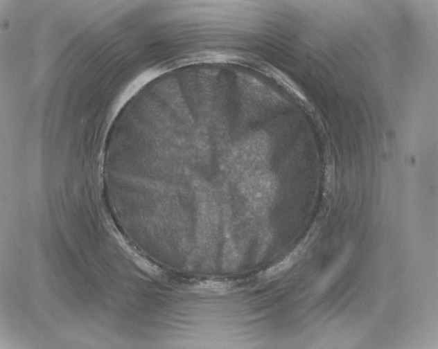 X0000081441178200701261840
