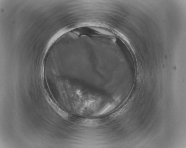 X0000081441179200701261840