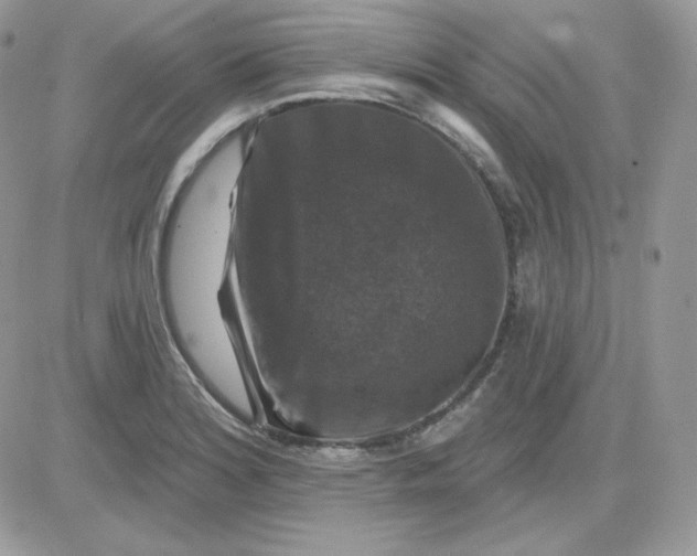 X0000081441180200701261840