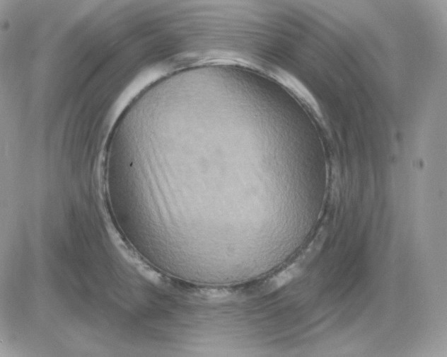 X0000081441190200701261840