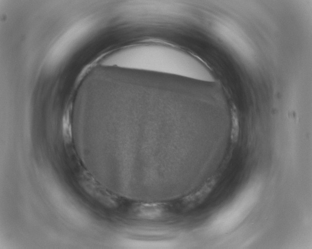 X0000081441198200701261840