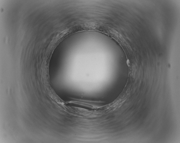 X0000081441201200701261839