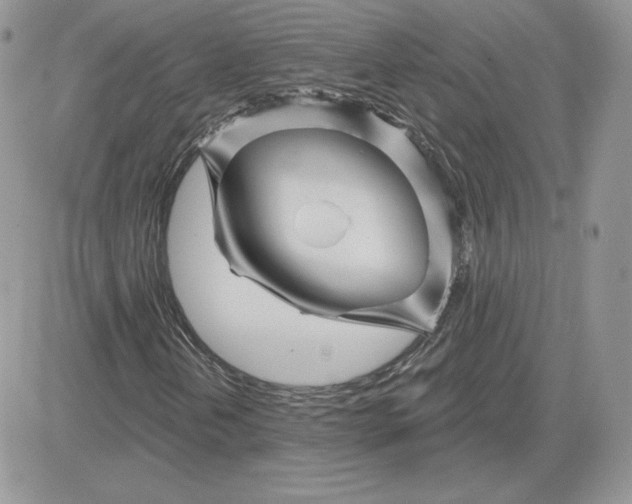 X0000081441202200701261839