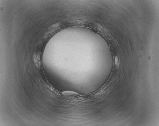 X0000081441203200701261839
