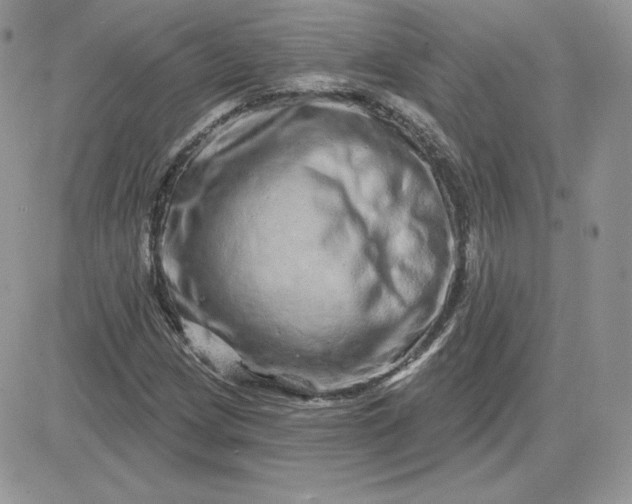 X0000081441209200701261839