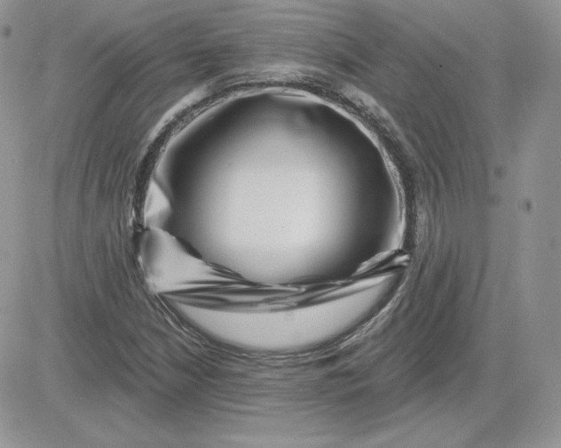 X0000081441210200701261839