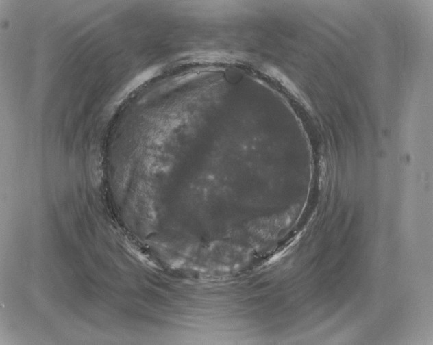 X0000081441213200701261839