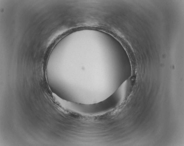X0000081441214200701261839