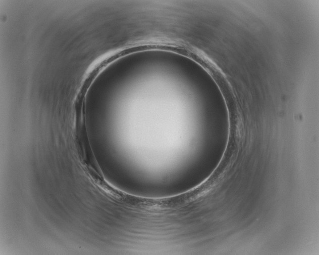 X0000081441222200701261839