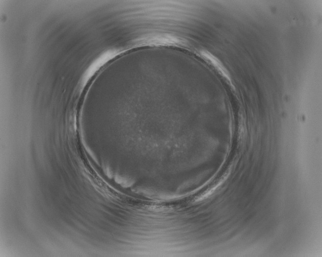 X0000081441226200701261839