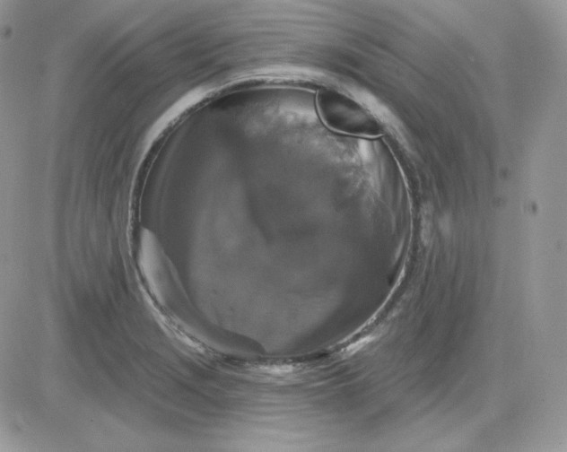 X0000081441229200701261839
