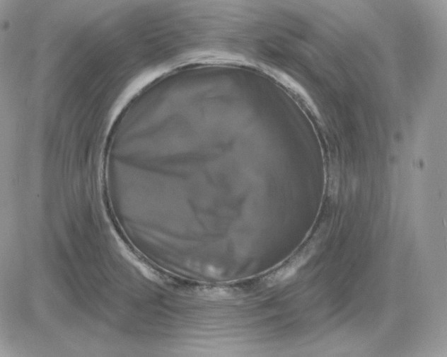 X0000081441231200701261839