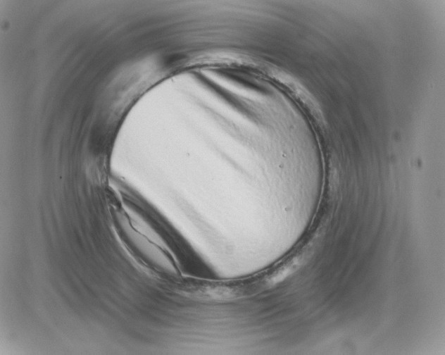 X0000081441233200701261839