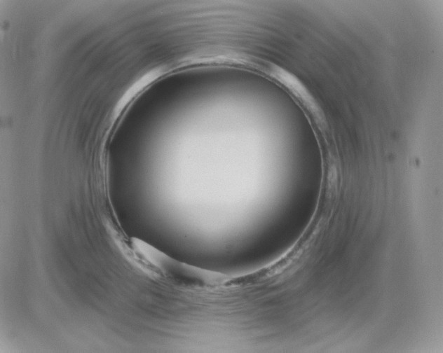 X0000081441242200701261839