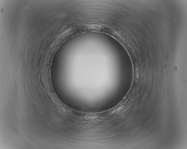 X0000081441249200701261839
