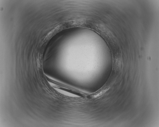 X0000081441250200701261839