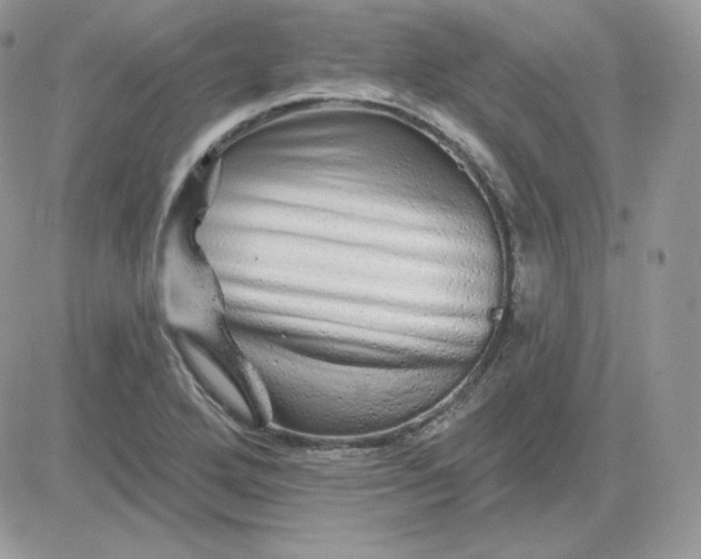 X0000081441272200701261838