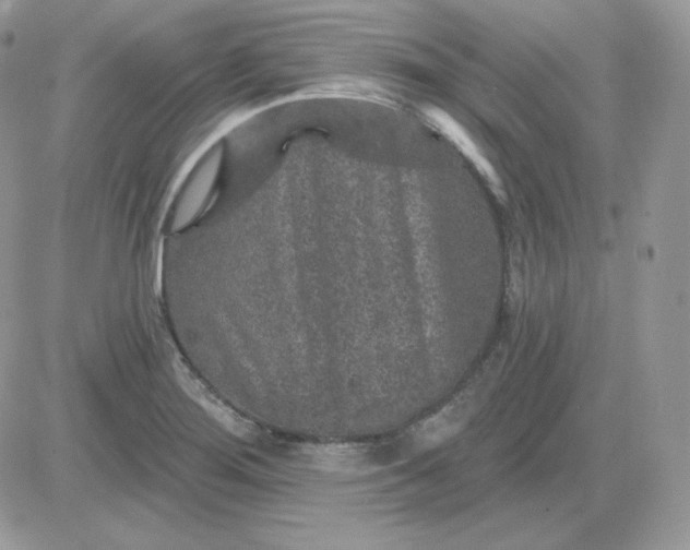 X0000081441276200701261838