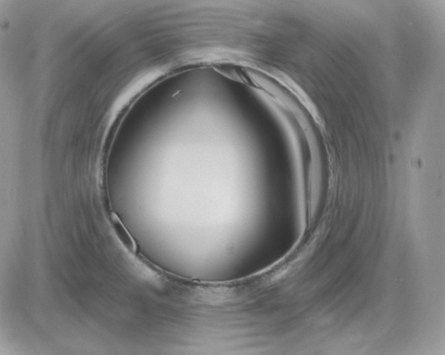 X0000081441285200701261838
