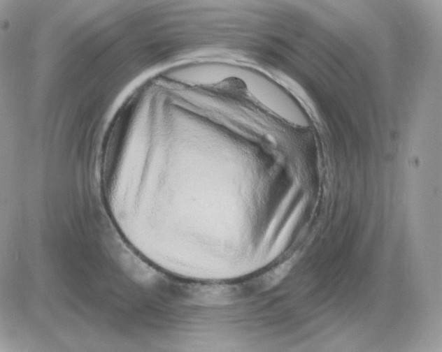 X0000081441288200701261838
