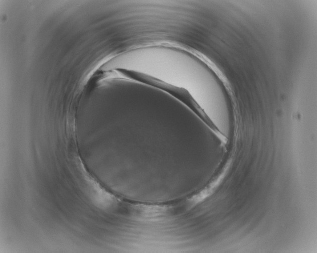X0000081441289200701261838