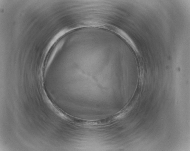 X0000081441291200701261838