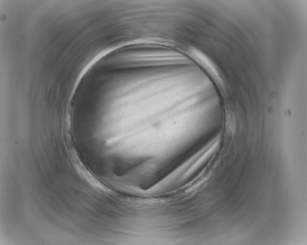 X0000081441292200701261838