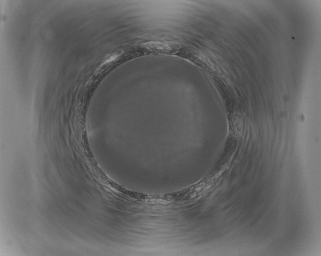 X0000081441297200701261837