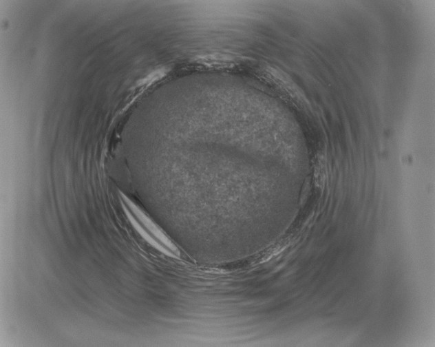 X0000081441298200701261837