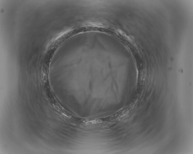 X0000081441303200701261837