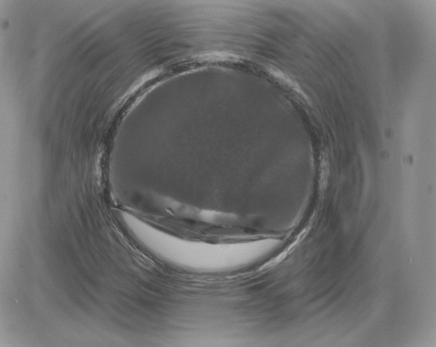X0000081441305200701261837