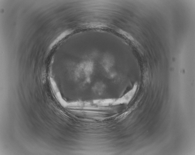 X0000081441306200701261837