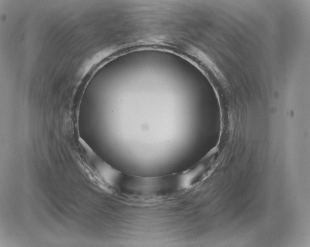 X0000081441308200701261837