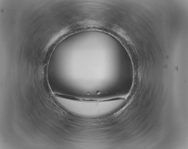 X0000081441309200701261837