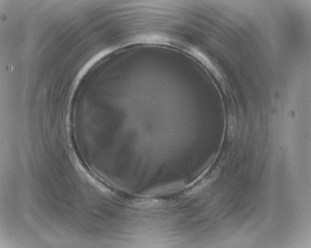X0000081441331200701261838