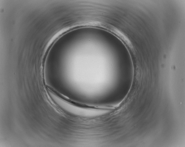 X0000081441332200701261838