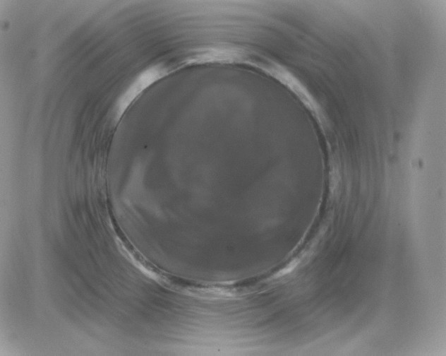 X0000081441337200701261838