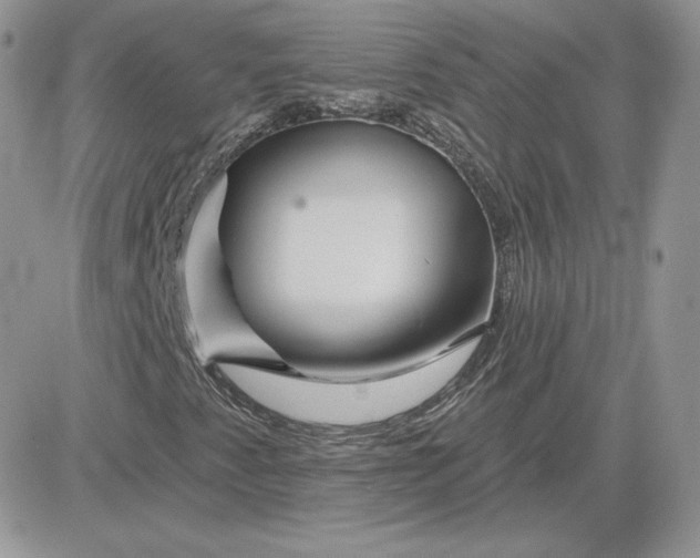 X0000081441345200701261837