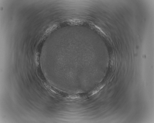 X0000081441346200701261837