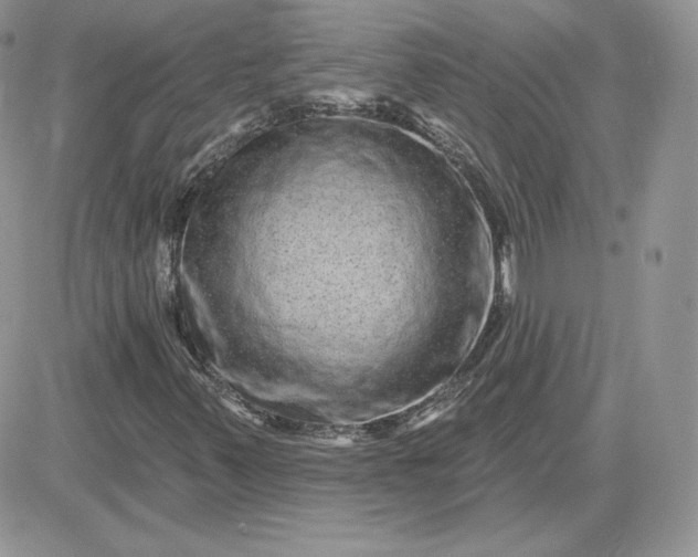 X0000081441347200701261837