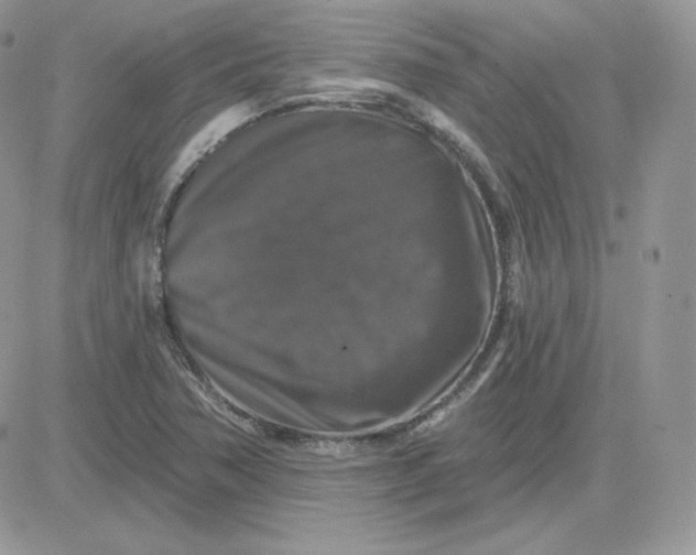 X0000081441362200701261837
