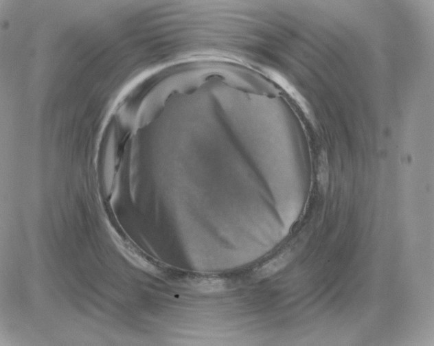 X0000081441372200701261837