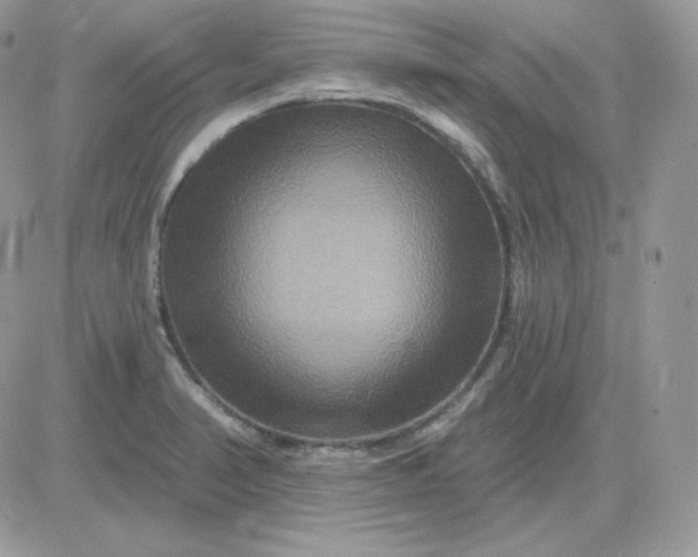 X0000081441374200701261837