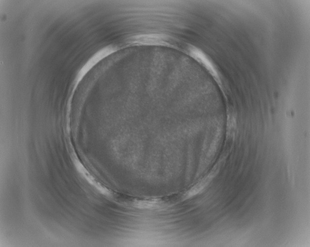 X0000081441386200701261837