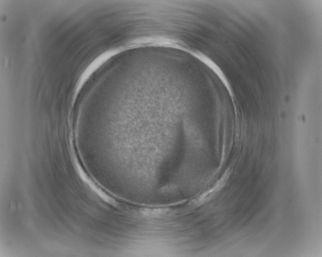 X0000081441389200701261837