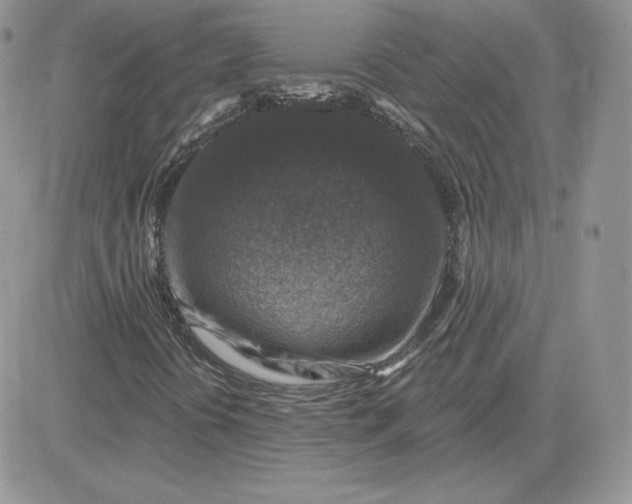 X0000081441394200701261836