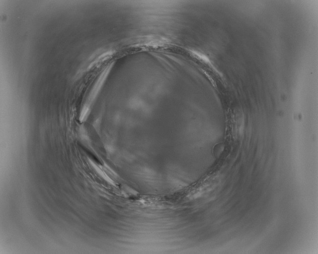X0000081441399200701261836